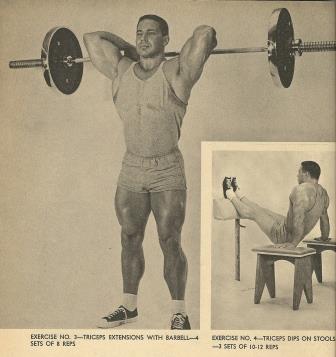 Bill pearl triceps workout deals
